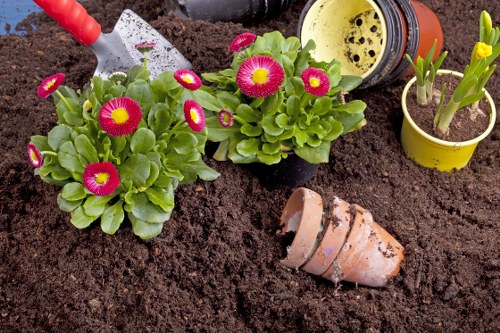 Clean patio surface restoration in Seven Sisters