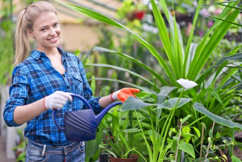 Gardeners Seven Sisters working safely in a residential garden