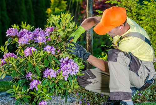 Garden waste being sorted for recycling in Seven Sisters