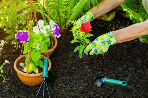 Professional garden clearance in a Seven Sisters property