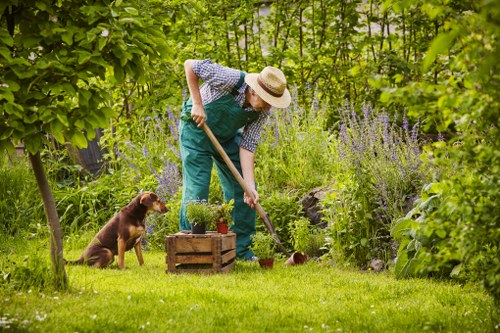 Professional gardeners in Seven Sisters completing work with safety focus