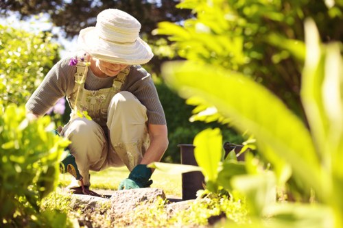 Garden clearance pricing for a small Seven Sisters terrace garden