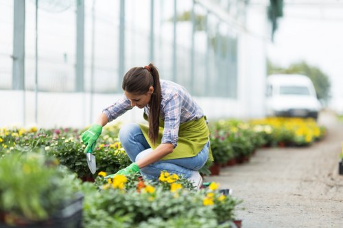 Supplier compliance audit for Seven Sisters gardening operations