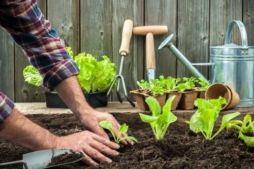 Landscaping in Seven Sisters with a modern garden design and planting