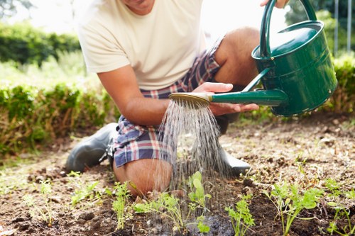 Modern slavery reporting process in a gardening business