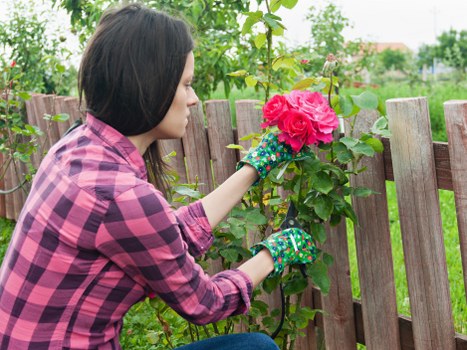 Reusable garden items prepared for charity donation