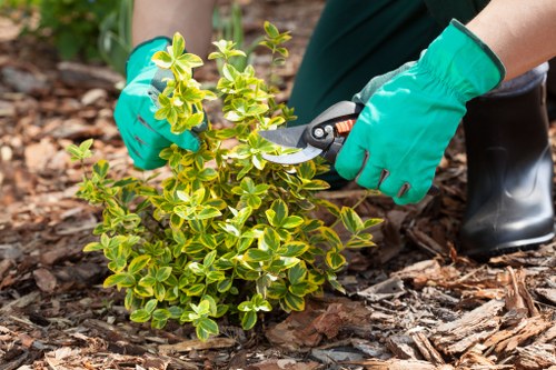 Seasonal lawn mowing in Seven Sisters keeping grass healthy and even