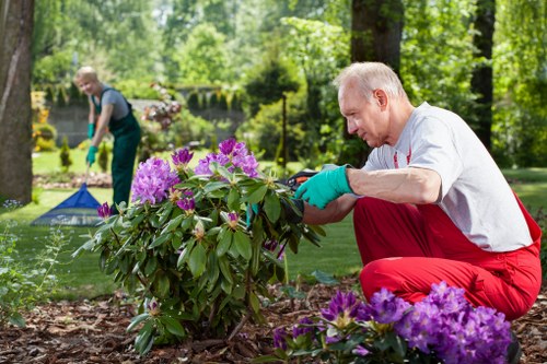 Transparent pricing discussion for a local garden maintenance job