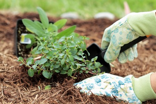 Workers using safe lifting and protective gear in a garden