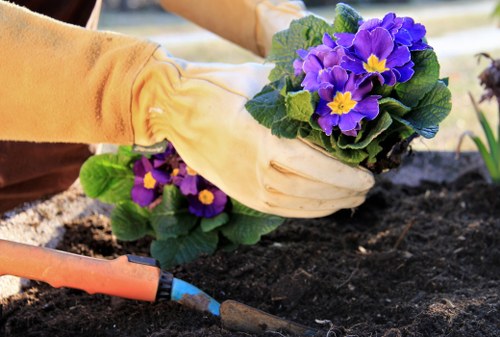 Professional landscaping in Seven Sisters creating a neat and functional outdoor space