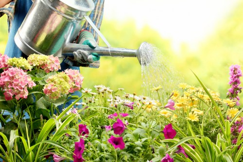 Weed control and patch repair for a tidy Seven Sisters lawn