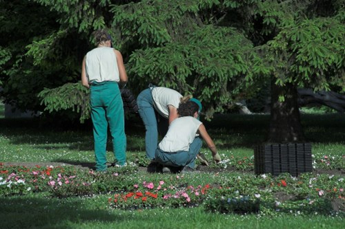 Modern planting scheme for landscape gardening in Seven Sisters