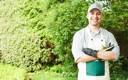 Summer garden maintenance in Seven Sisters with lawn care and trimming