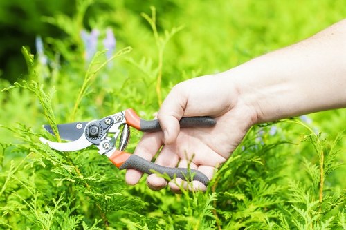 Gardening team assessing outdoor hazards and equipment