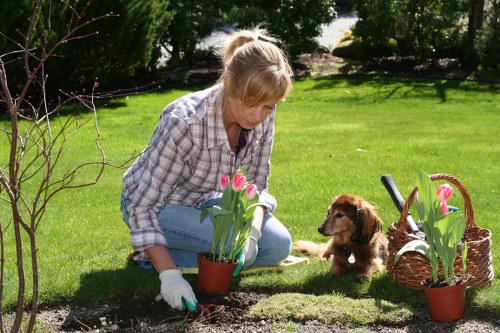 Tree maintenance improving safety and appearance in Seven Sisters
