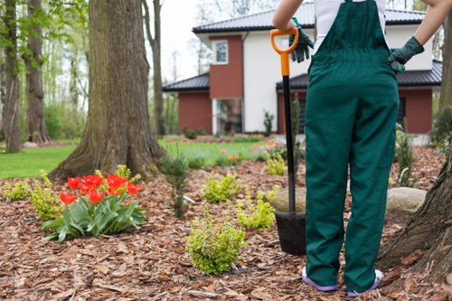 Final resolution of a gardening complaint