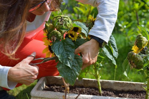 Planned planting and paving in a Seven Sisters garden