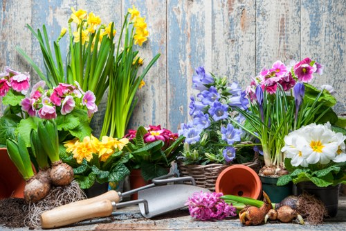 Regular hedge maintenance and trimming for local properties in Seven Sisters
